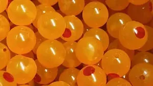 Bloop Bead Co. "Pyroe"