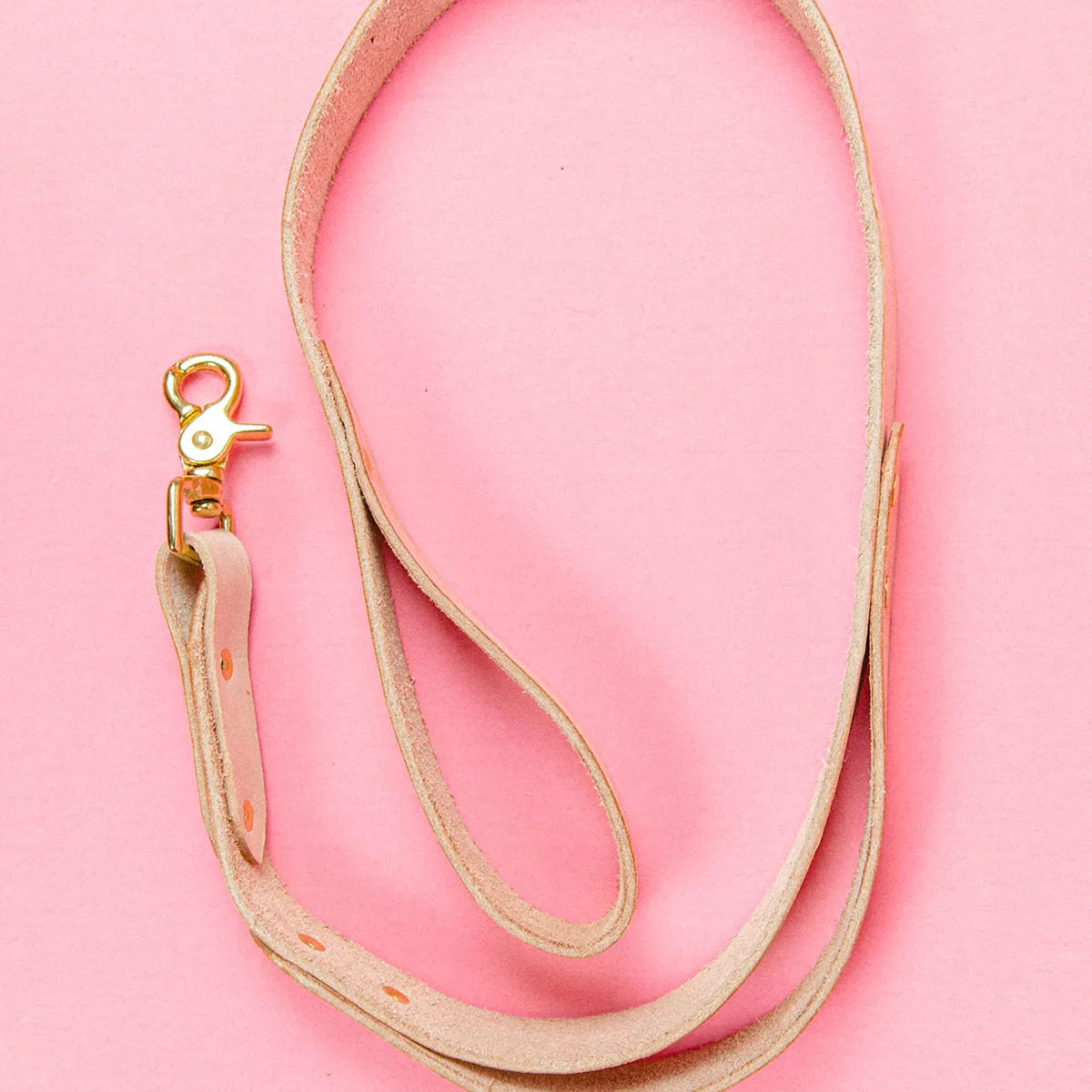 Dog Leash
