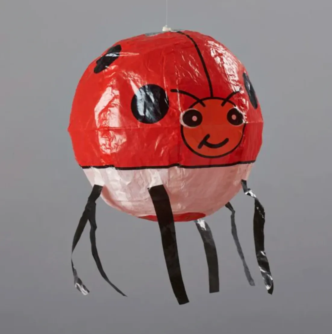 Ladybug Gift Bundle, Ages 4 