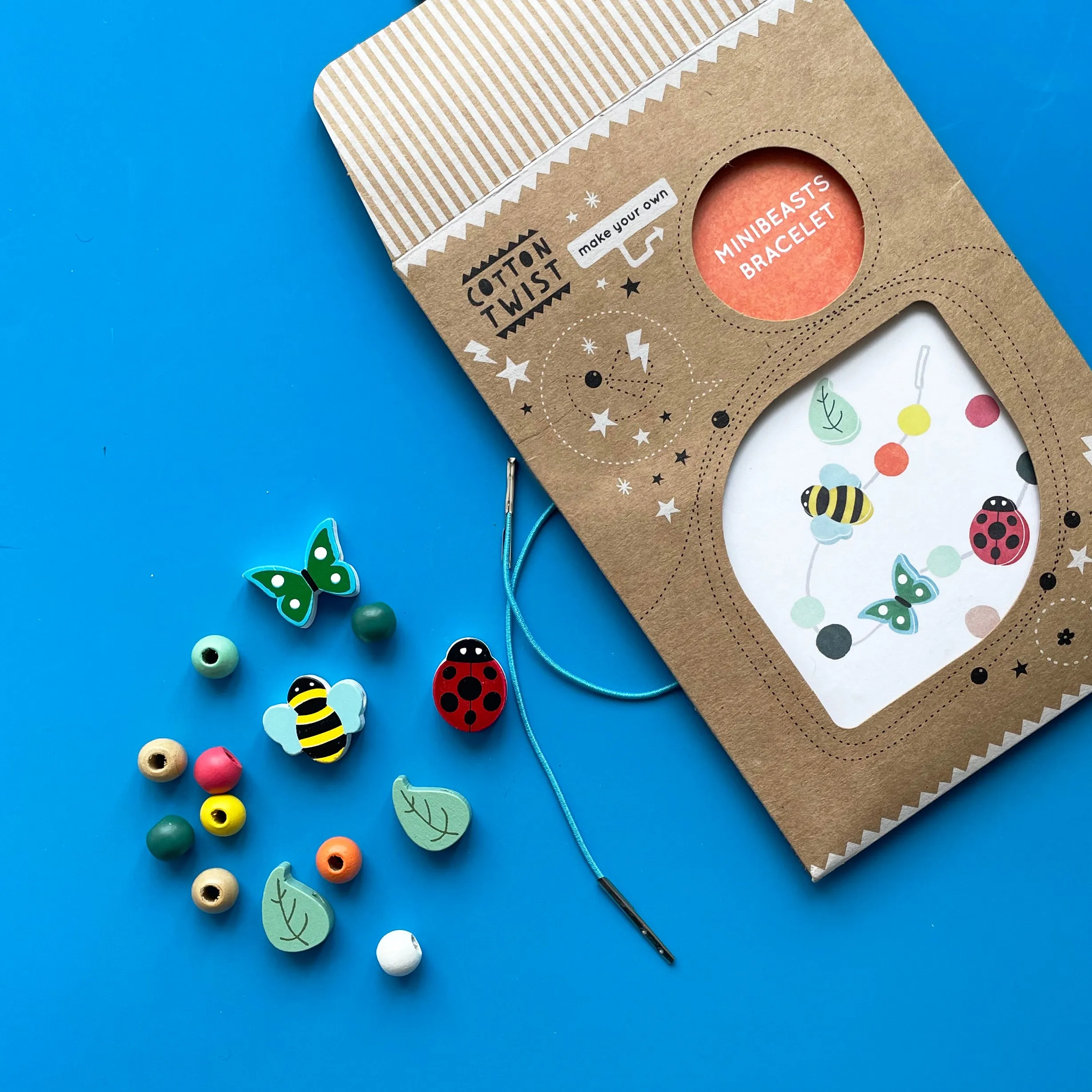 Ladybug Gift Bundle, Ages 4 