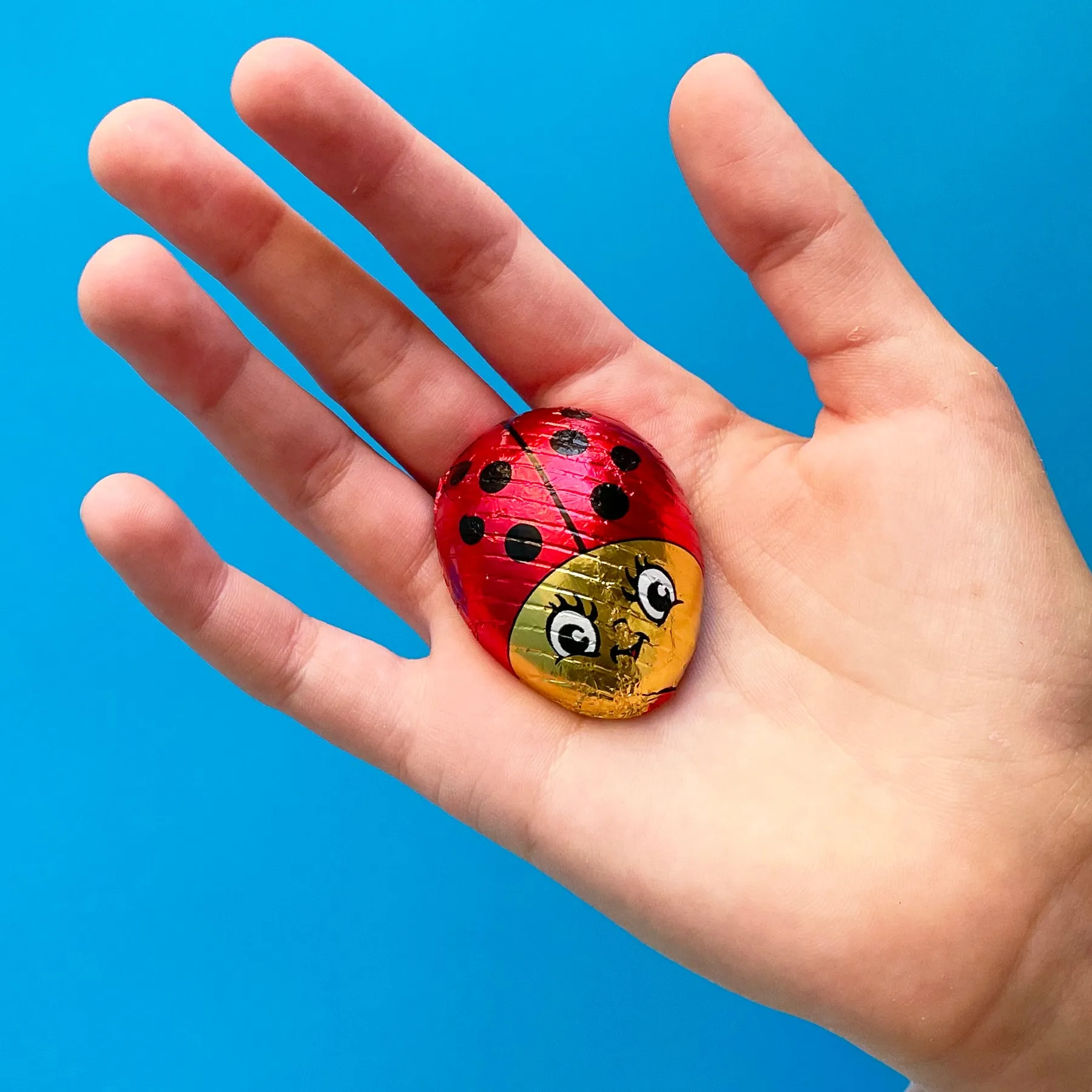 Ladybug Gift Bundle, Ages 4 