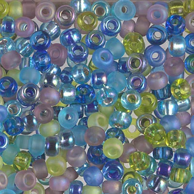 Miyuki 6/0 Seed Beads