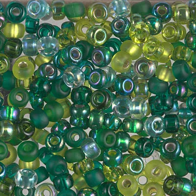 Miyuki 6/0 Seed Beads