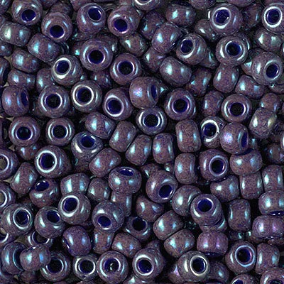 Miyuki 6/0 Seed Beads