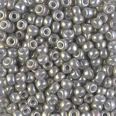 Miyuki 6/0 Seed Beads