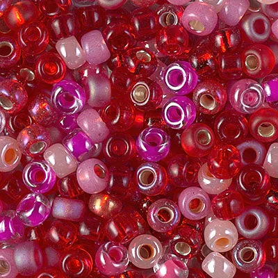 Miyuki 6/0 Seed Beads