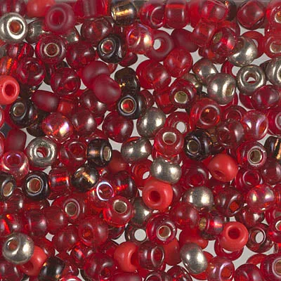 Miyuki 6/0 Seed Beads